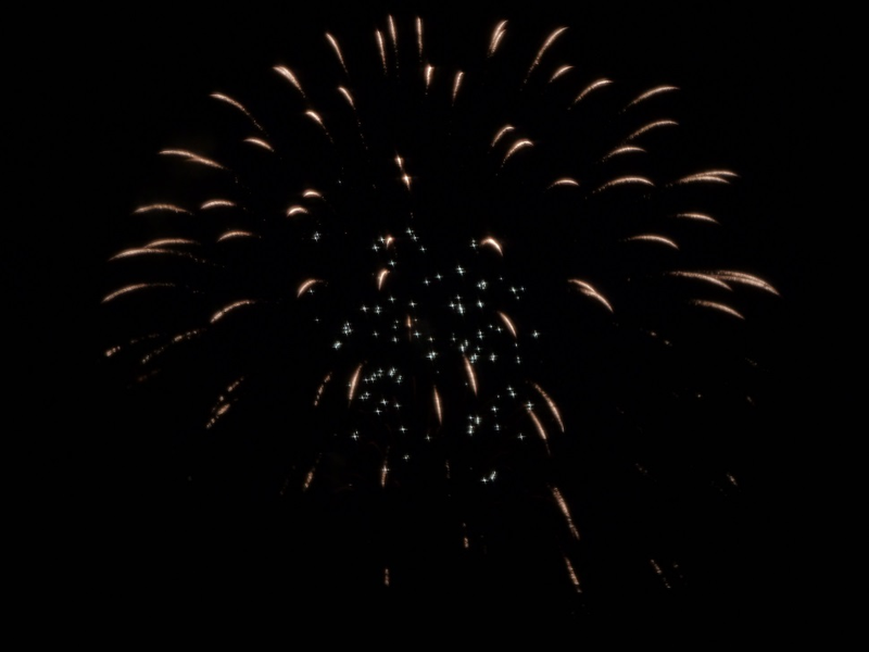 Illustration for article titled 19 Dazzling Photos of Fireworks